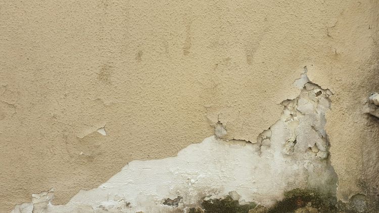 Damp, peeling paint and plaster at the base of a wall